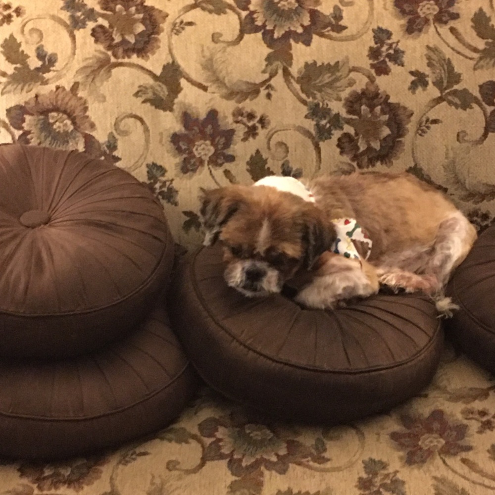 Meet your Posher, Joyce